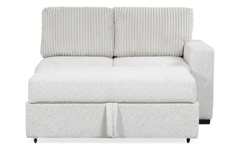 Wohlen 2Pc Sectional with Pop Up Sleeper & Storage