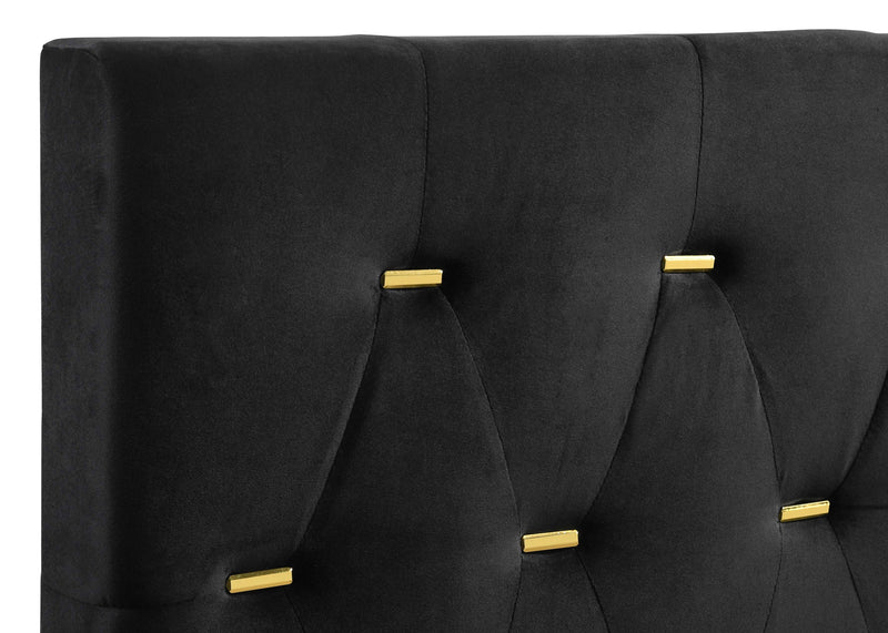 Kendall Upholstered Panel Bed