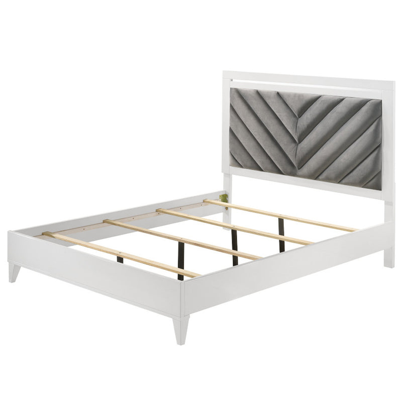 Chelsie Bed