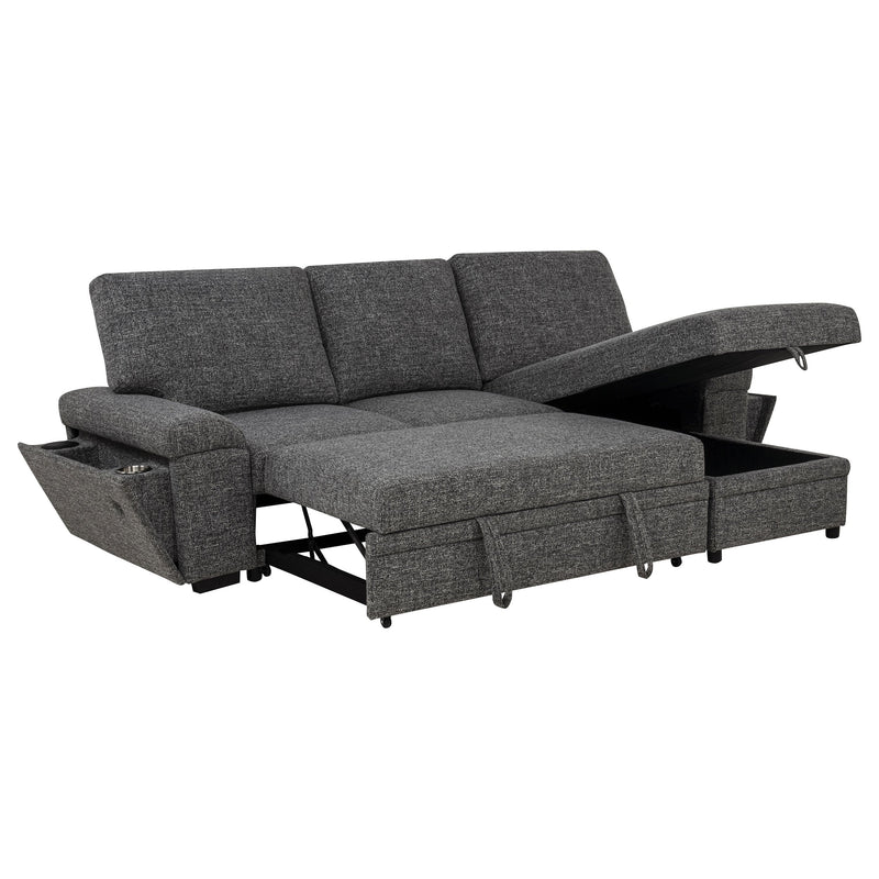 Demko Sleeper Sectional Sofa with Speaker and Storage Chaise Brown