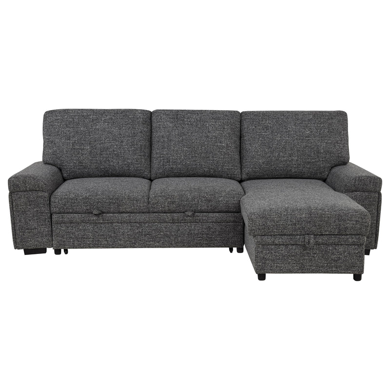 Demko Sleeper Sectional Sofa with Speaker and Storage Chaise Brown