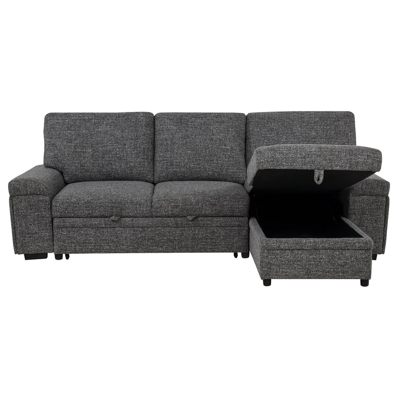 Demko Sleeper Sectional Sofa with Speaker and Storage Chaise Brown