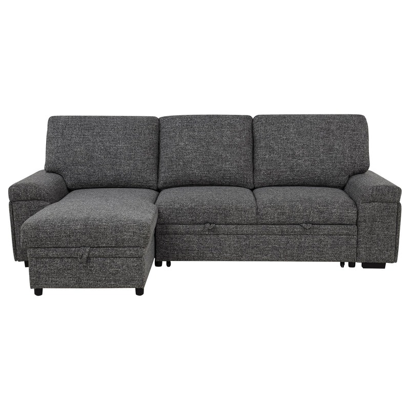 Demko Sleeper Sectional Sofa with Speaker and Storage Chaise Brown