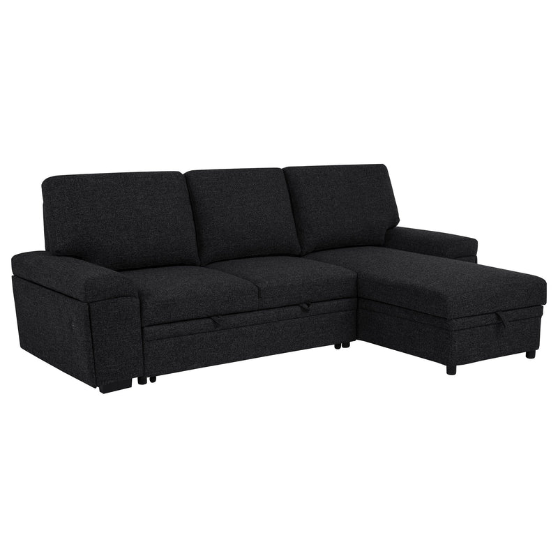 Demko Sleeper Sectional Sofa with Speaker and Storage Chaise Brown