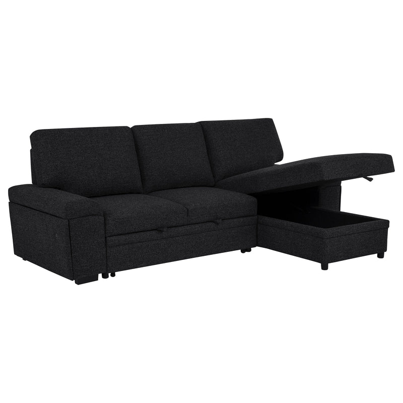 Demko Sleeper Sectional Sofa with Speaker and Storage Chaise Brown