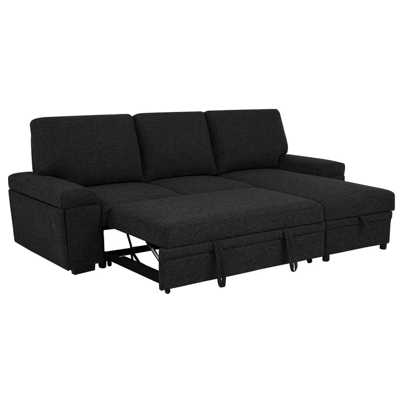 Demko Sleeper Sectional Sofa with Speaker and Storage Chaise Brown