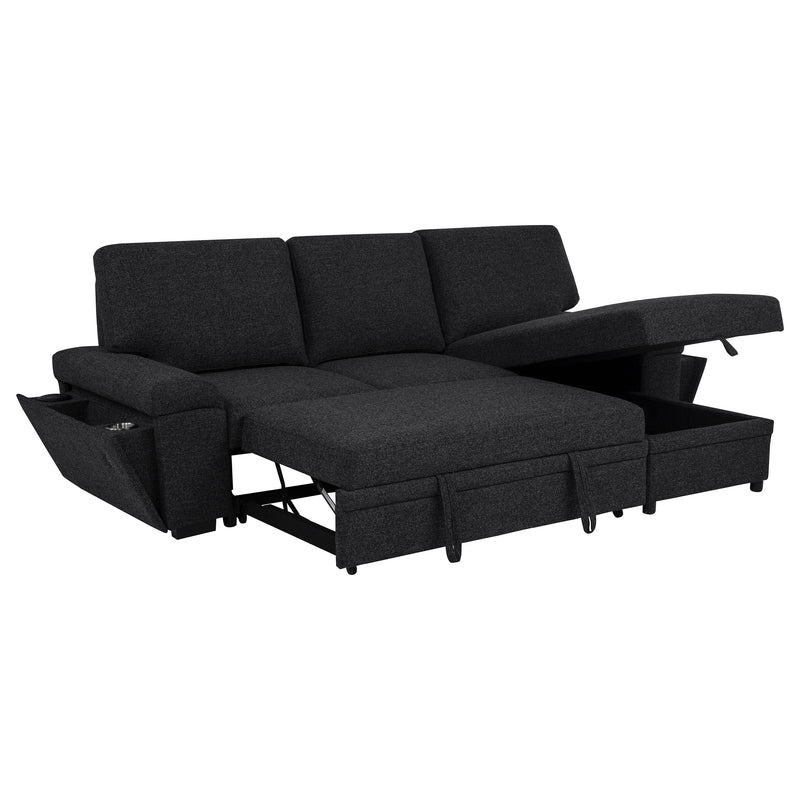 Demko Sleeper Sectional Sofa with Speaker and Storage Chaise Brown