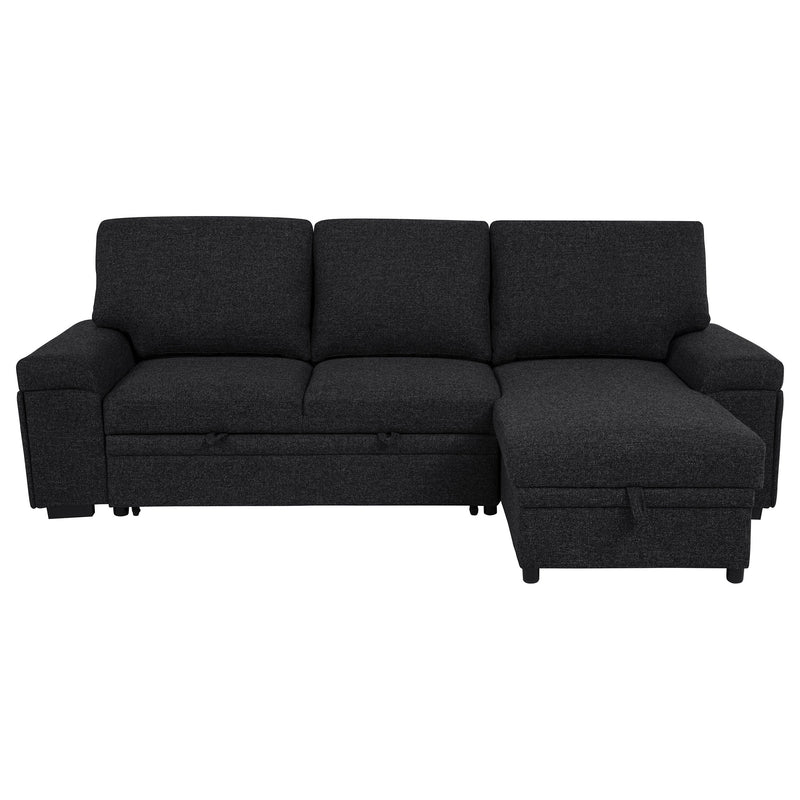 Demko Sleeper Sectional Sofa with Speaker and Storage Chaise Brown