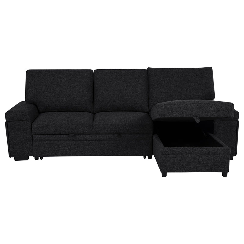 Demko Sleeper Sectional Sofa with Speaker and Storage Chaise Brown