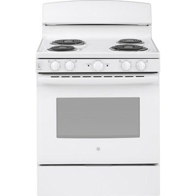 Built-in Dishwasher with Sanitize Option (GDT226SGLWW)