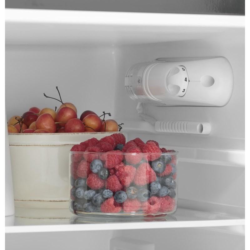 9.8 cu. ft. Top Freezer Refrigerator (GPV10FGNBB)