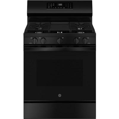 Portable Dishwasher with Sanitize Option (GPT225SGLBB)