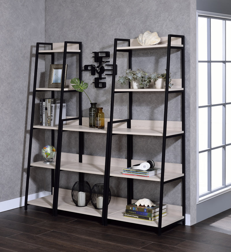 Wendral Bookshelf & File Cabinet