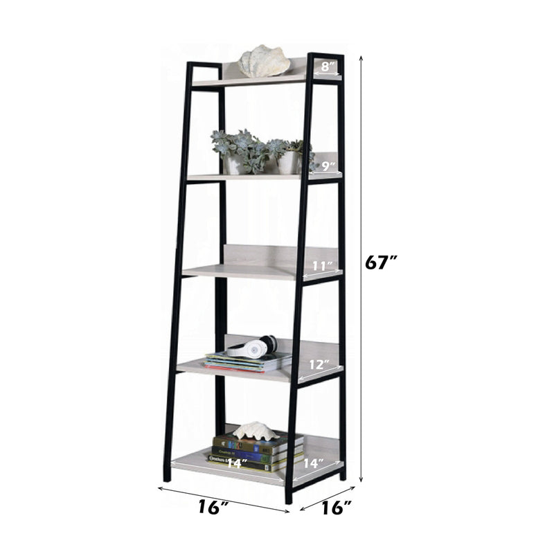 Wendral Bookshelf & File Cabinet