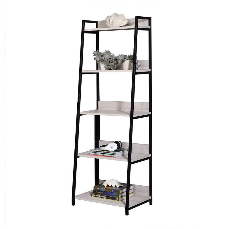 Wendral Bookshelf & File Cabinet