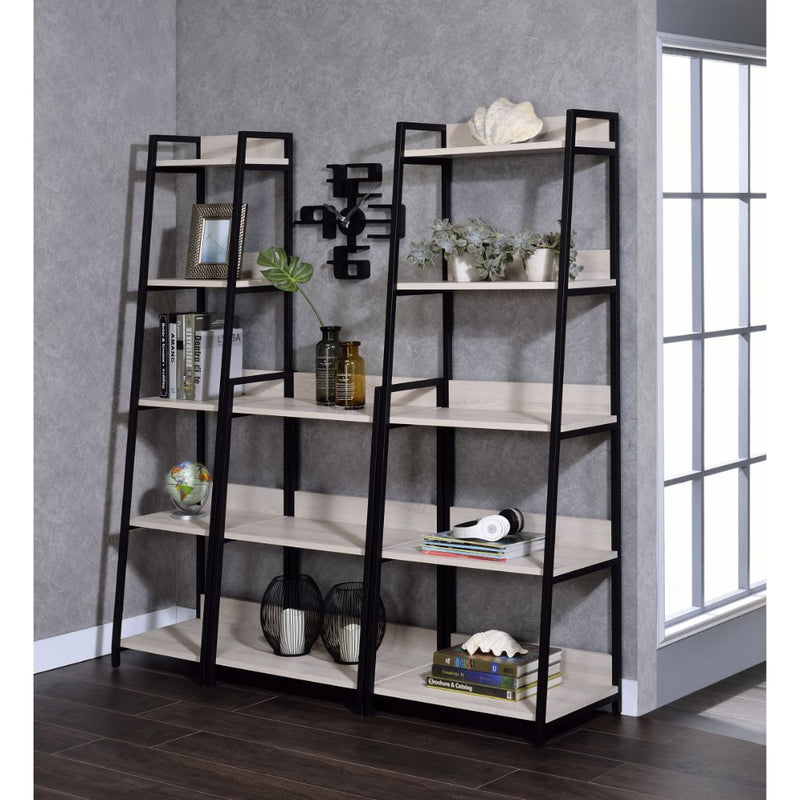 Wendral Bookshelf & File Cabinet