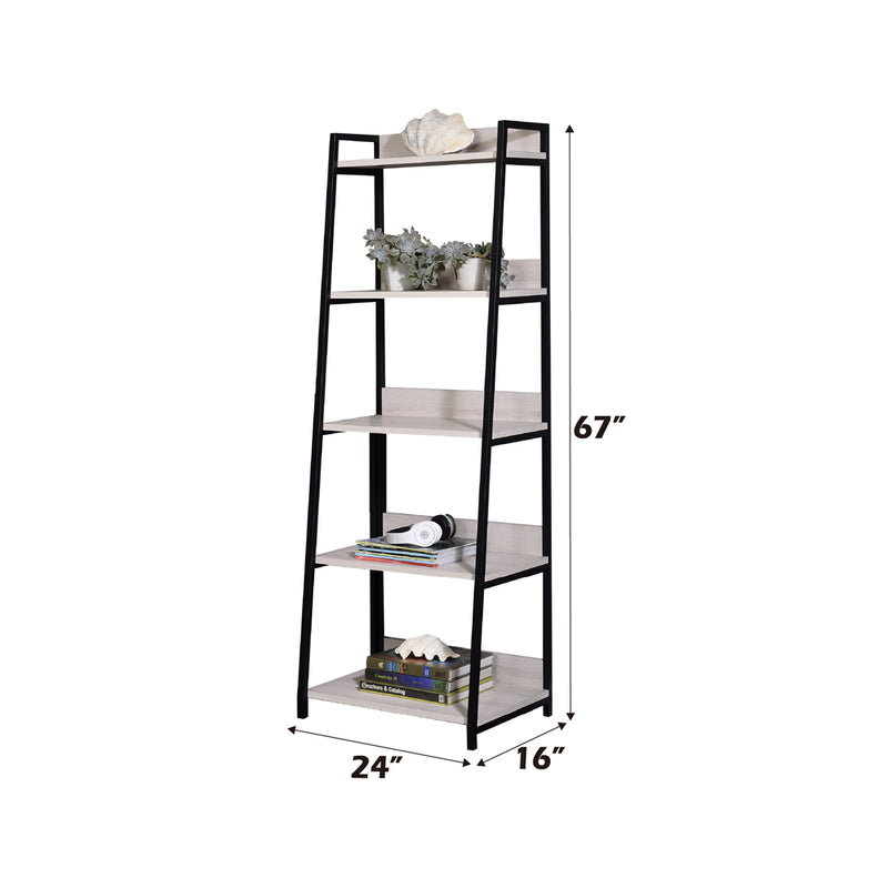 Wendral Bookshelf & File Cabinet