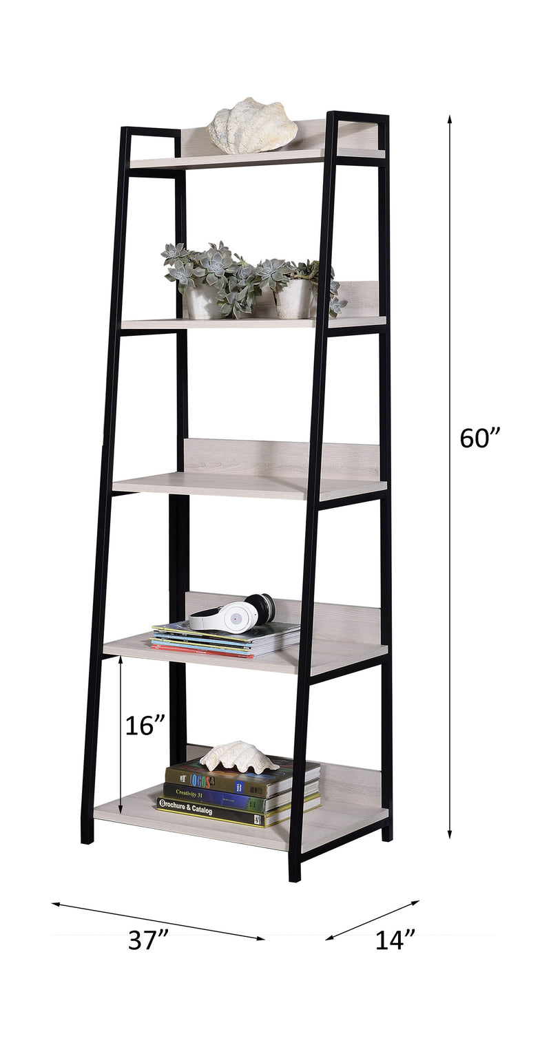 Wendral Bookshelf & File Cabinet
