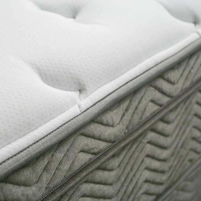 Afton White/Gray 12" Euro Box Pocket  Queen Coil