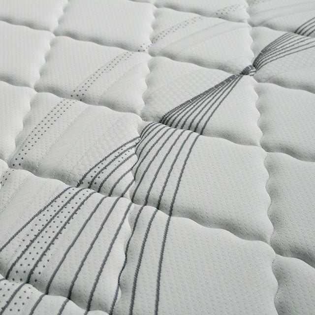 Edrea White/Gray 10" Tight Top Pocket Eastern King Coil