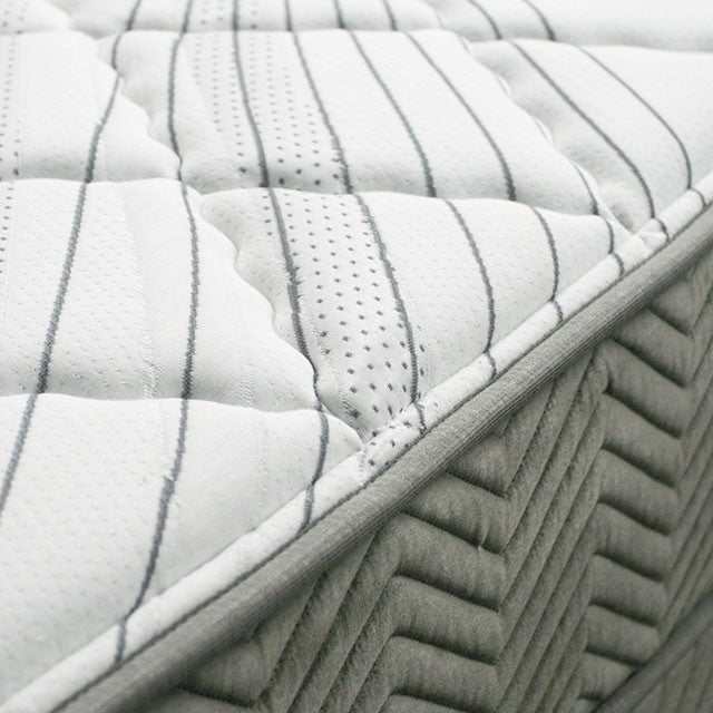 Edrea White/Gray 10" Tight Top Pocket Eastern King Coil