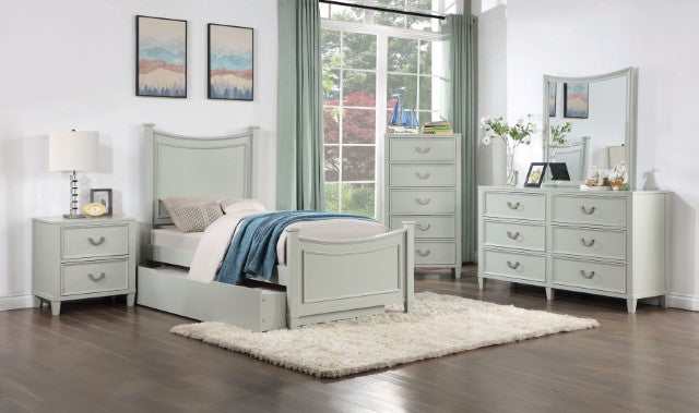 Lycorida Gray Chest