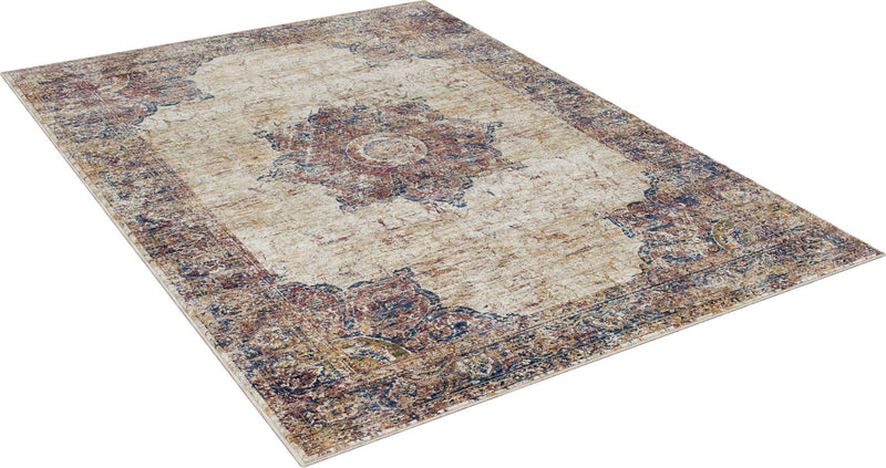 Payas Multi 5' X 7' Area Rug
