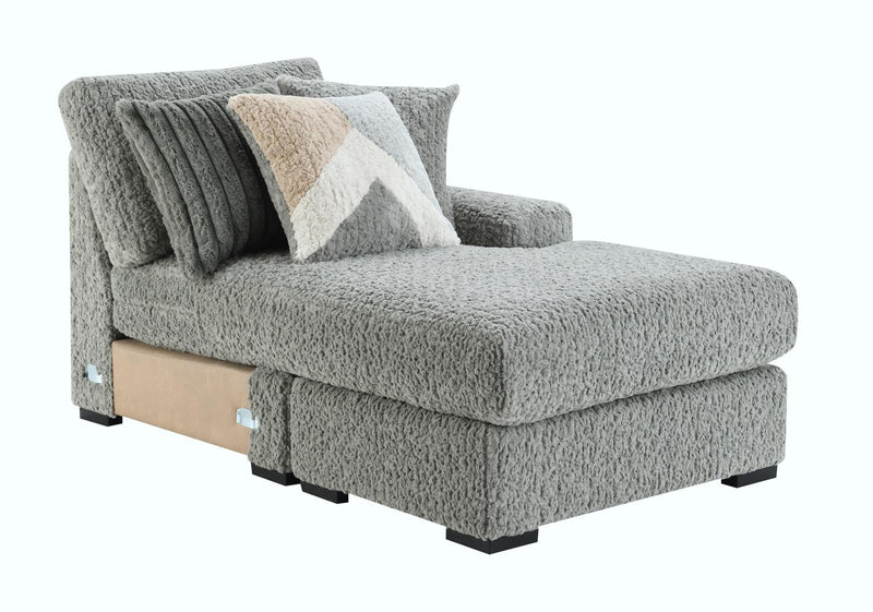 Jesse Gray Sectional Living Room Collection
