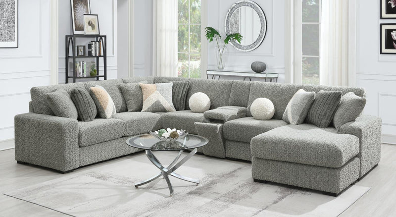 Jesse Gray Sectional Living Room Collection
