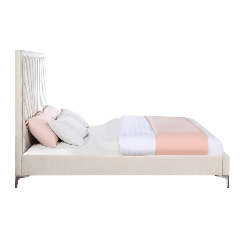 Faiz Bed